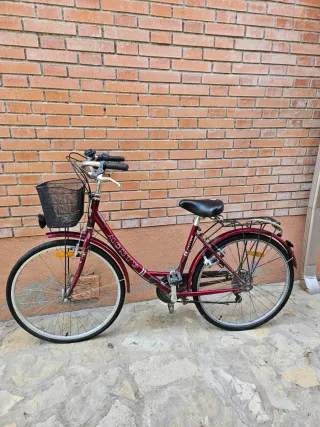 Bicicleta Monty Paseo