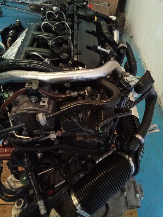 Motor Ford 2.0 TDCI 136 CV G6DD Completo