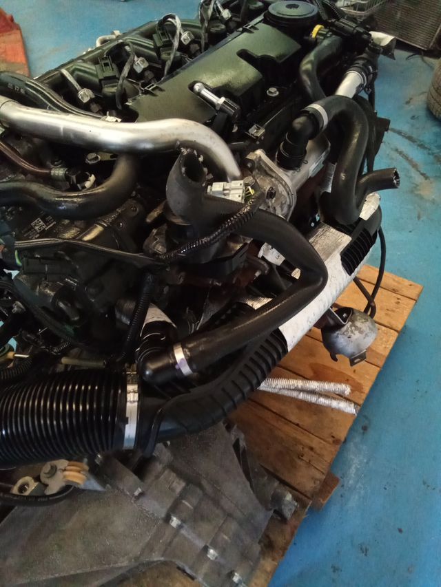 Motor Ford 2.0 TDCI 136 CV G6DD Completo