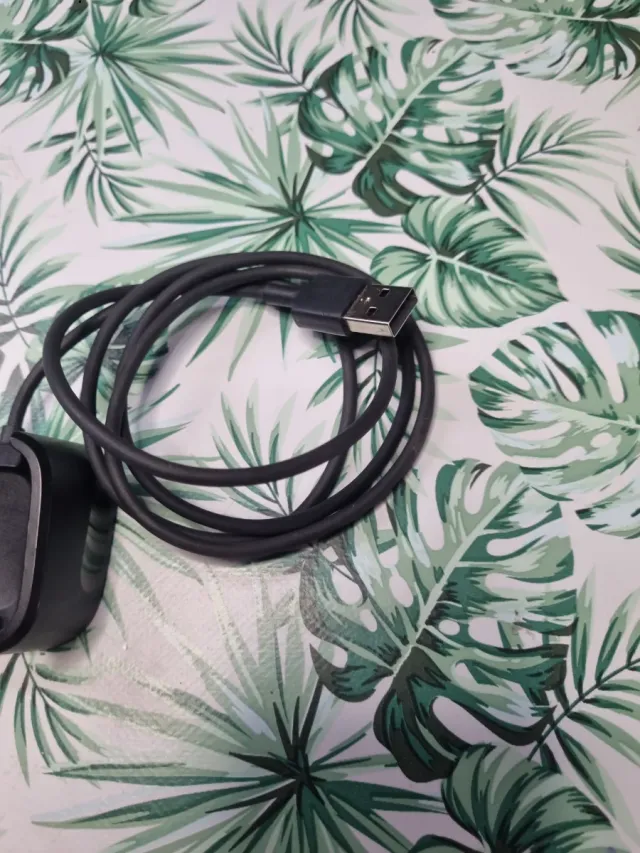 Cargador Fitbit Versa 2 Negro