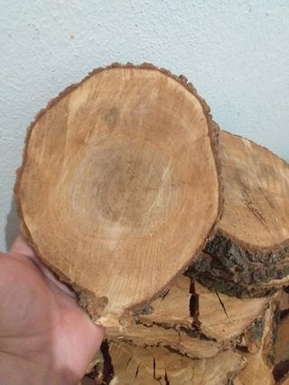 12 Rodajas de Madera 18cm