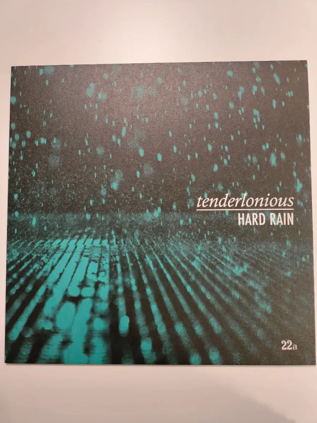 Tenderlonious Hard Rain UK 2019 33 Giri