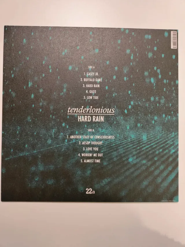 Tenderlonious Hard Rain UK 2019 33 Giri