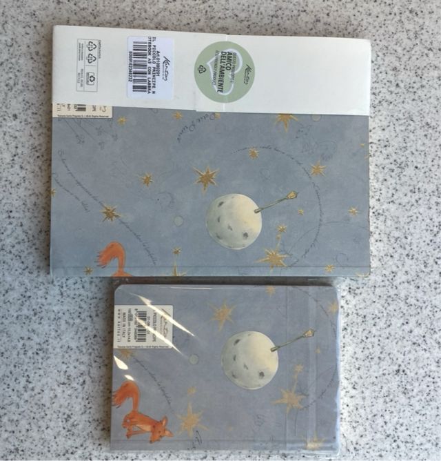 Taccuino A5 Il Piccolo Principe Kartos