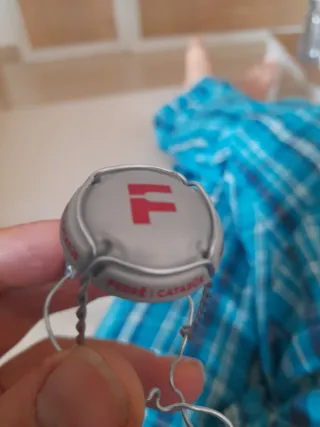 Chapa Cava Ferrer i Catasús