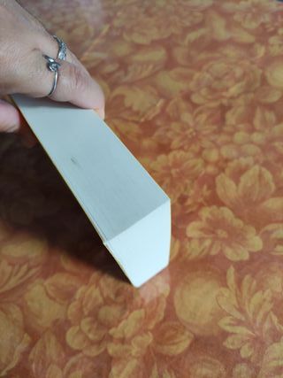 Brazilian Psycho Thriller