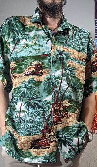 Camisa Hawaiana Estampada