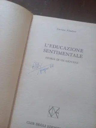 L'educazione sentimentale