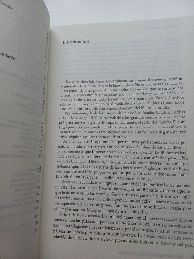 Bien al sur historia del blues en la Argentina