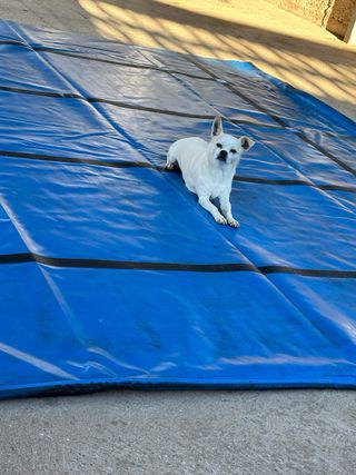 0015 . Toldo camión impermeable  3,50X3,10