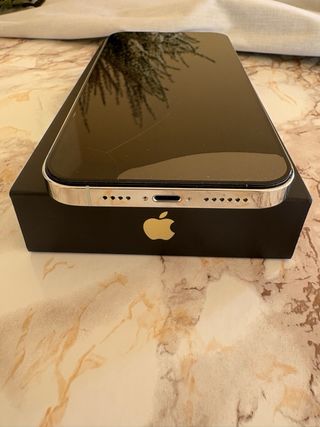 iPhone 13 Pro Max 128 GB Argento