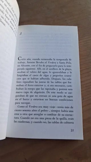 El niño que jugaba con ballenas