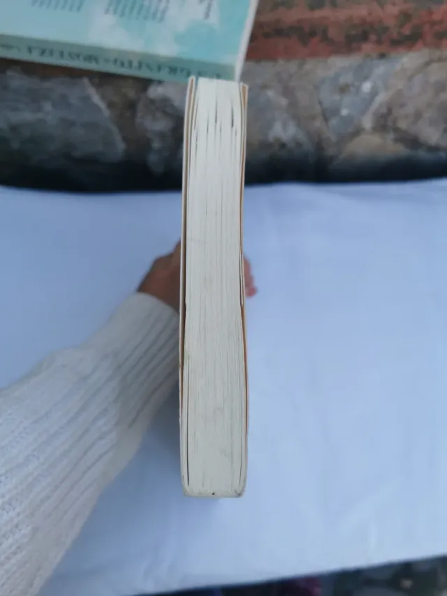 El maestro del Feng Shui