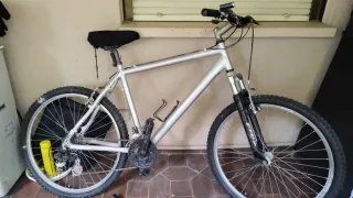 Bicicleta de Montaña Plata