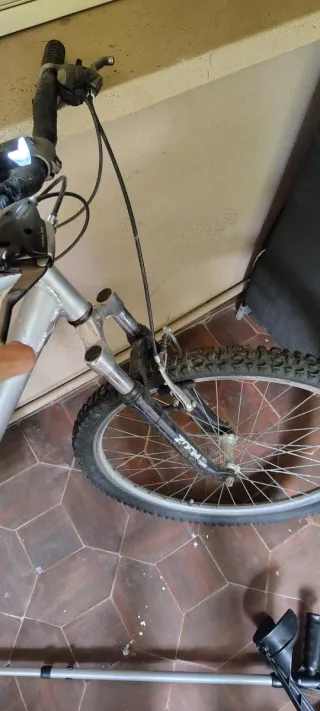 Bicicleta de Montaña Plata