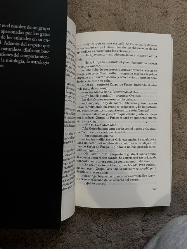 Libro “los gatos guerreros: en territorio salvaje”