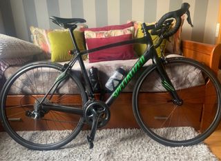 Bicicleta Specialized Roubaix SL4