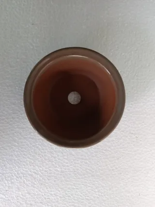 Maceta bonsai japonesa Bunzan cerámica