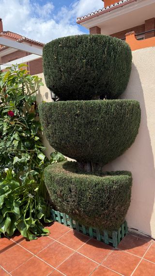 Servicios de jardinería, desbroces, poda y tala.