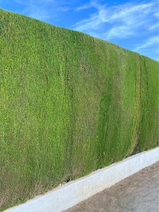 Servicios de jardinería, desbroces, poda y tala.