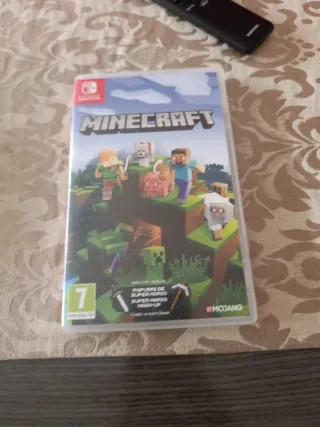 Minecraft Nintendo Switch