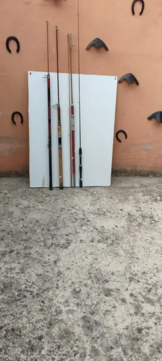 Lote 1: Cañas de pescar (varias medidas)