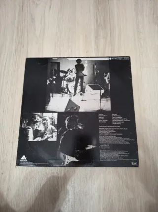 Willie Nile - Álbum Vinilo