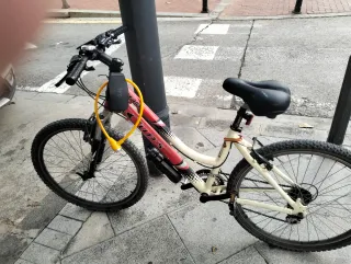Bicicleta Cups Alteam