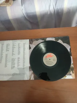 Vinilo Seguridad Social - Buen Estado