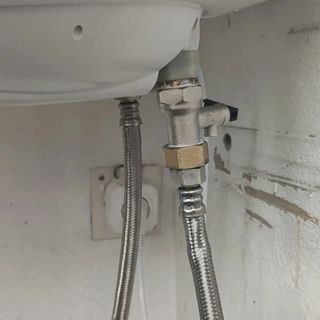 MANITAS MANITAS MANITAS