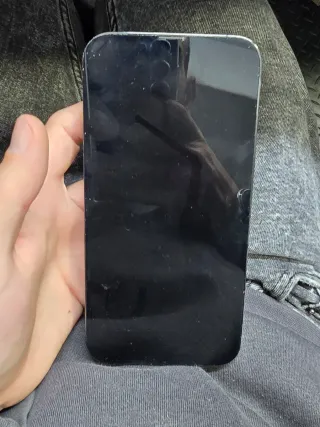 Pantalla iPhone 13 Pro Max Negra