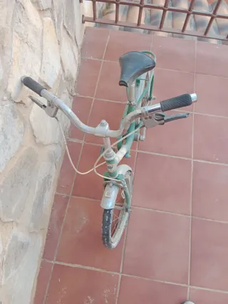 Bicicleta BH Antigua Verde