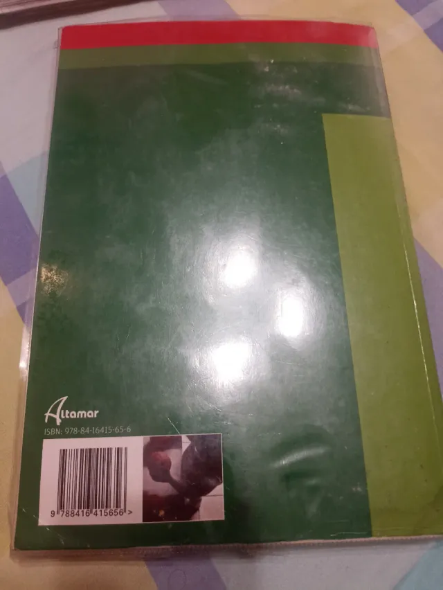 Desarrollo cognitivo y motor