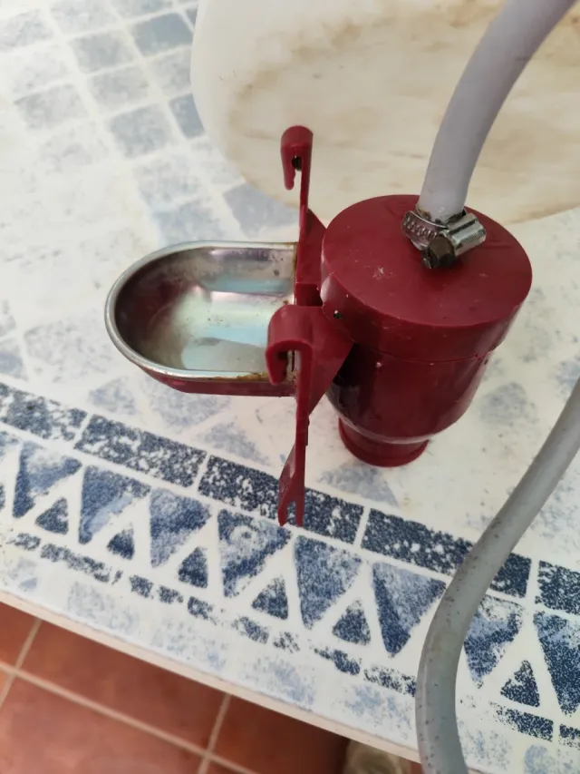 Bebedero para Gallinas NO ENVIO.....