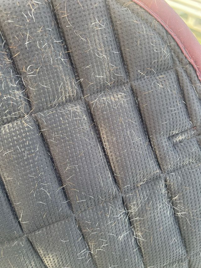 Mantilla de salto Full