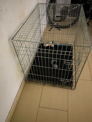 Jaula transportín para mascotas