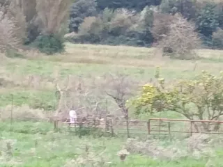 Alquilo huerta noja 

