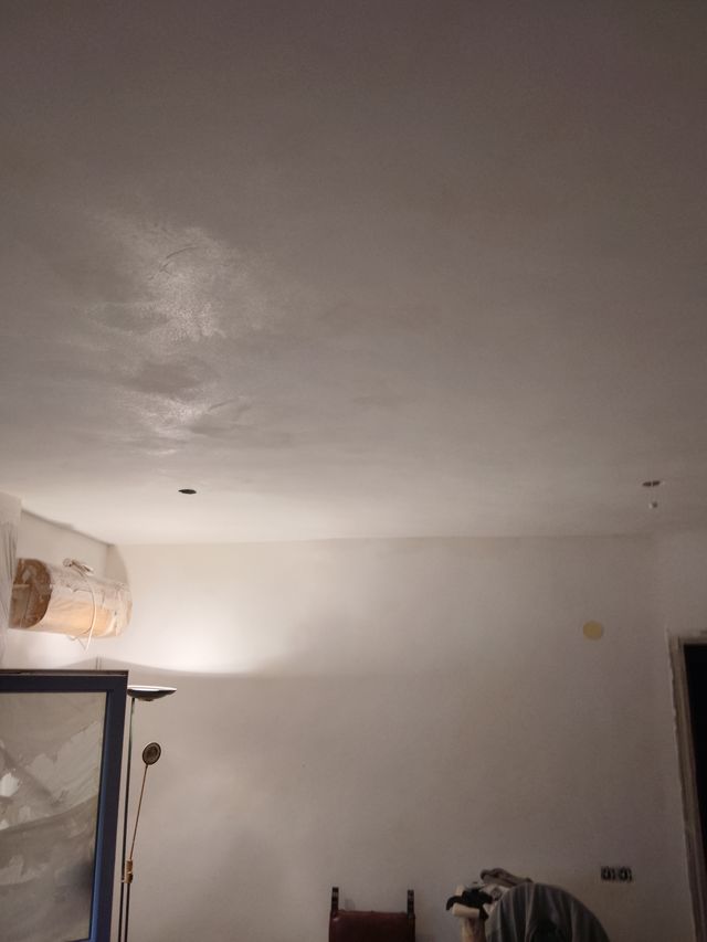 Pintor y albañil economicos