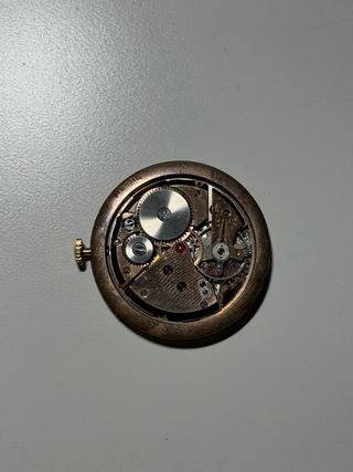 Reloj Sabina Oro y Plata