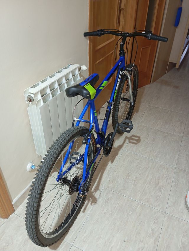 Bicicleta de Montaña Azul