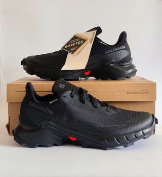 T39 - Salomon Alphacross 5 GORE-TEX - black
