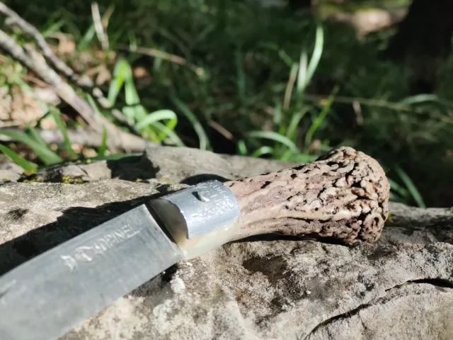 Coltellino Opinel con manico in corno di daino