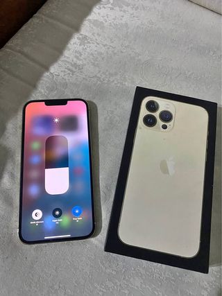 iPhone 13 Pro Max 256GB Bianco/Oro