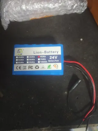 Batería Litio 24V Lion-Battery