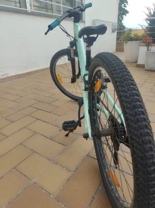 Bicicleta Scott 24 Mint