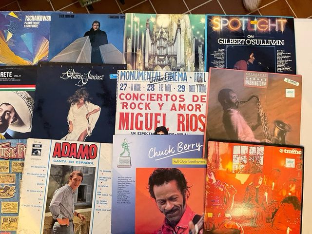 Lote de discos de vinilo