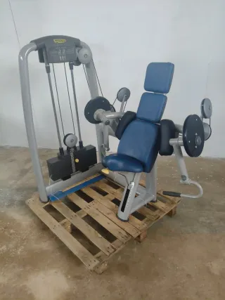 BICEPS TECHNOGYM SELECTION!