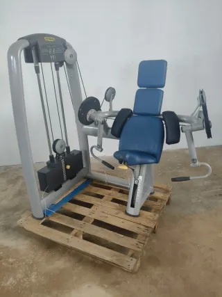 BICEPS TECHNOGYM SELECTION!