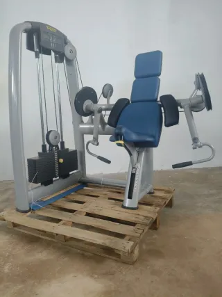 BICEPS TECHNOGYM SELECTION!
