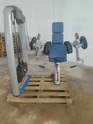 BICEPS TECHNOGYM SELECTION!